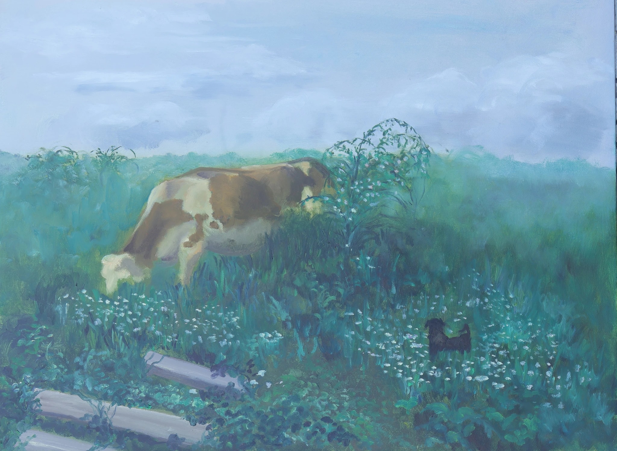 Meadow Grazing Cow