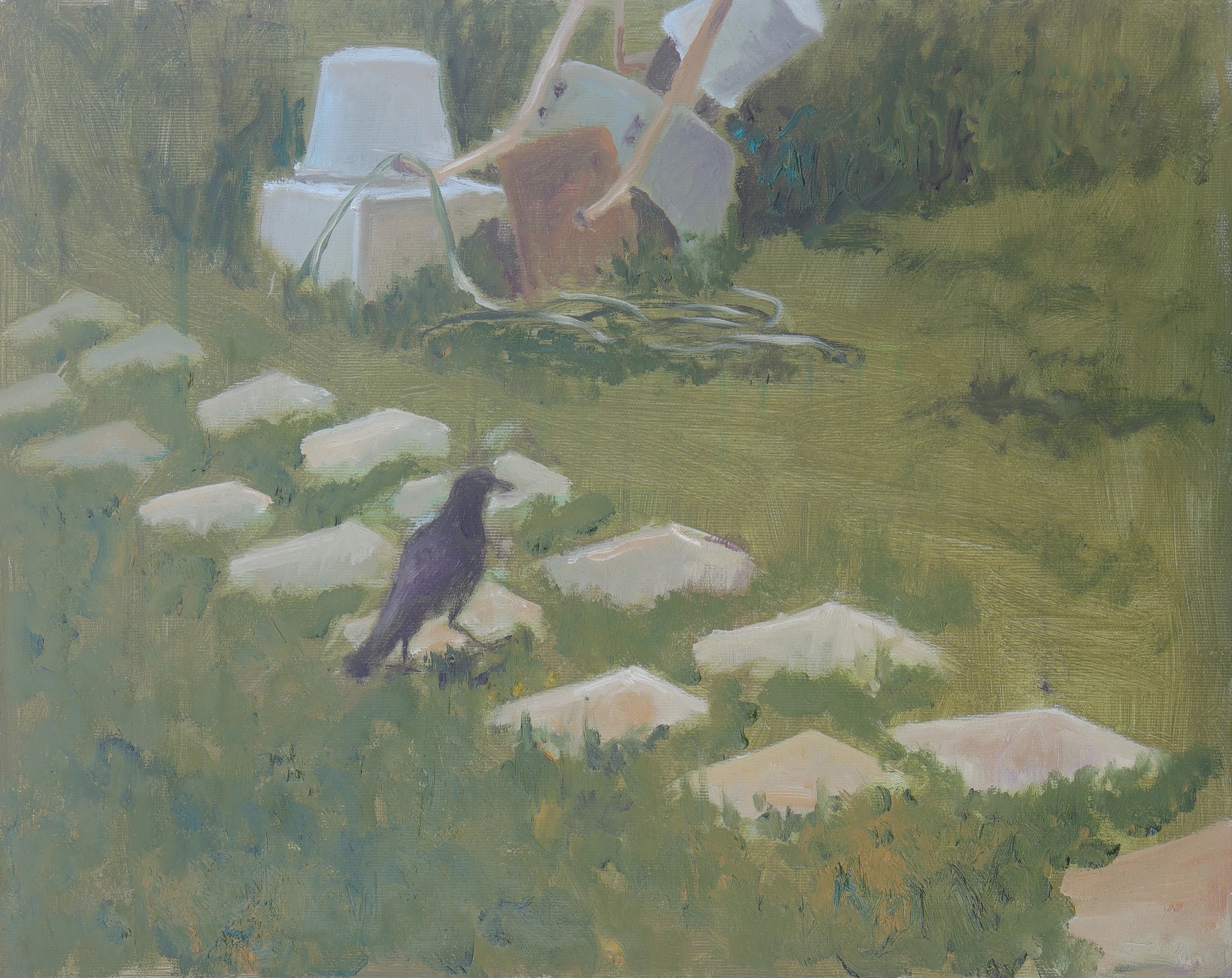Garden Bird