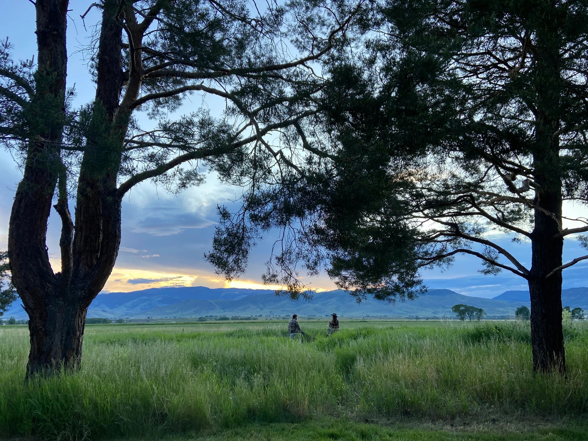 Mountain Meadow Sunset