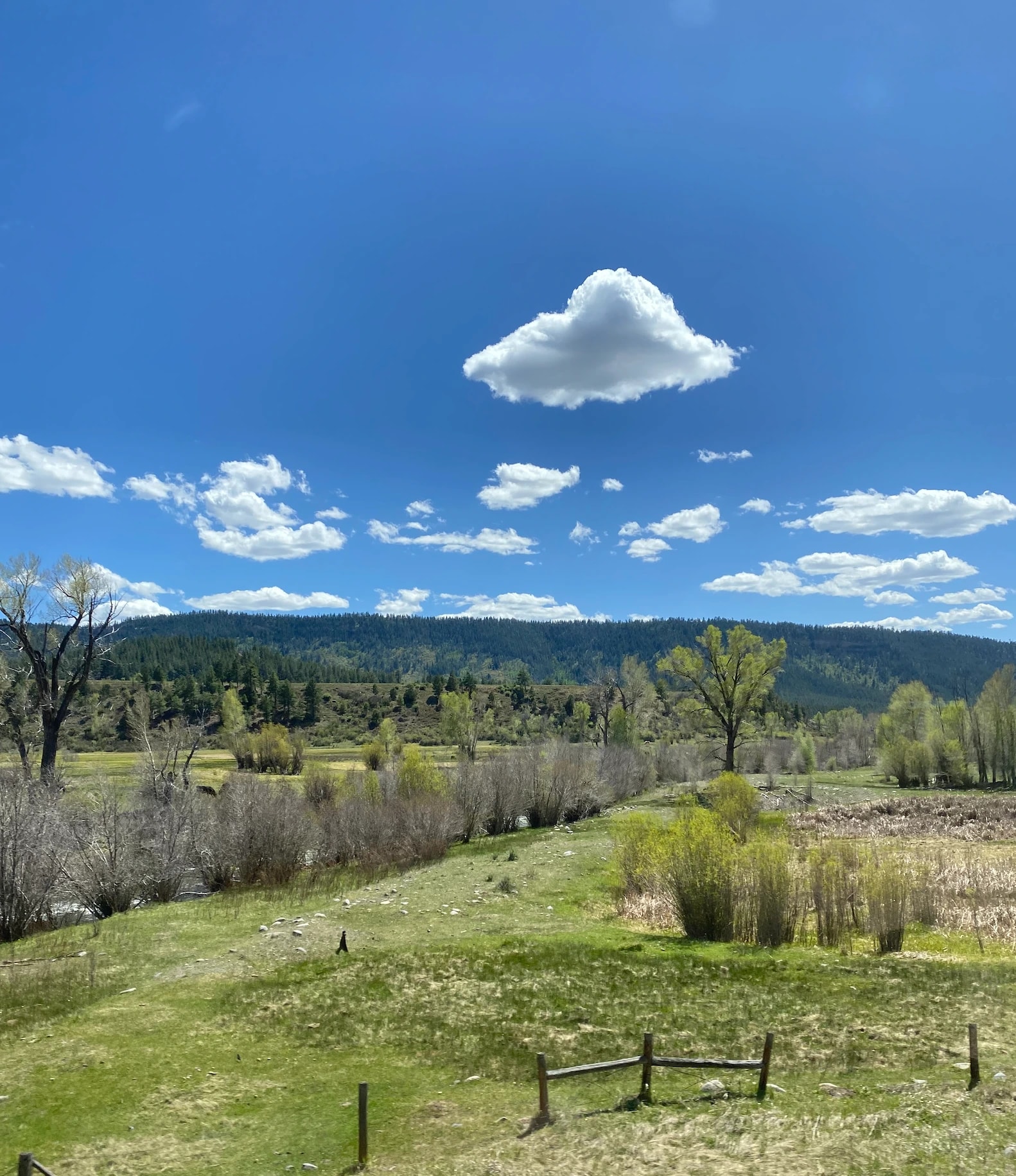 Cloud Over Meadow