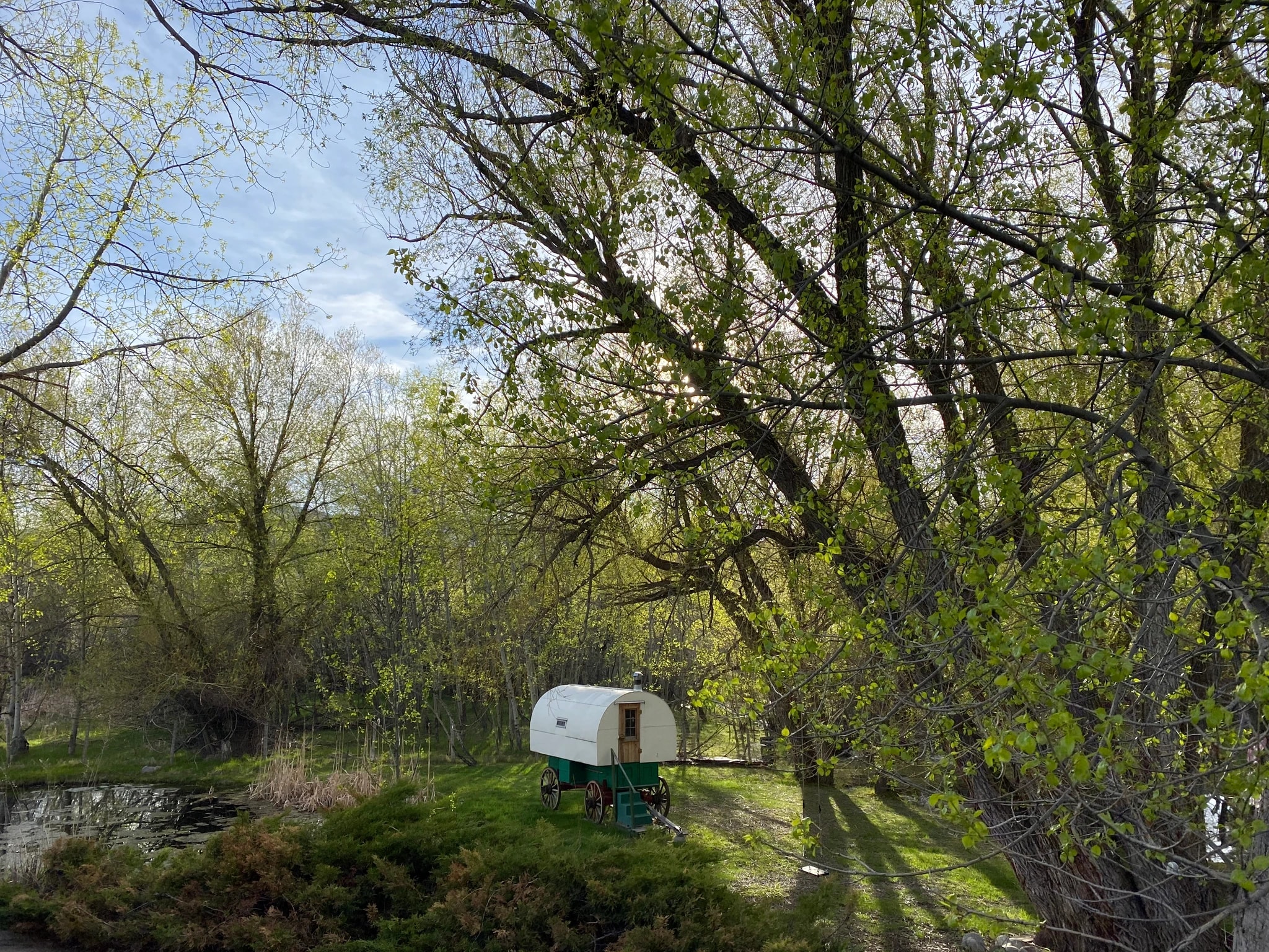 Wagon Beneath the Trees