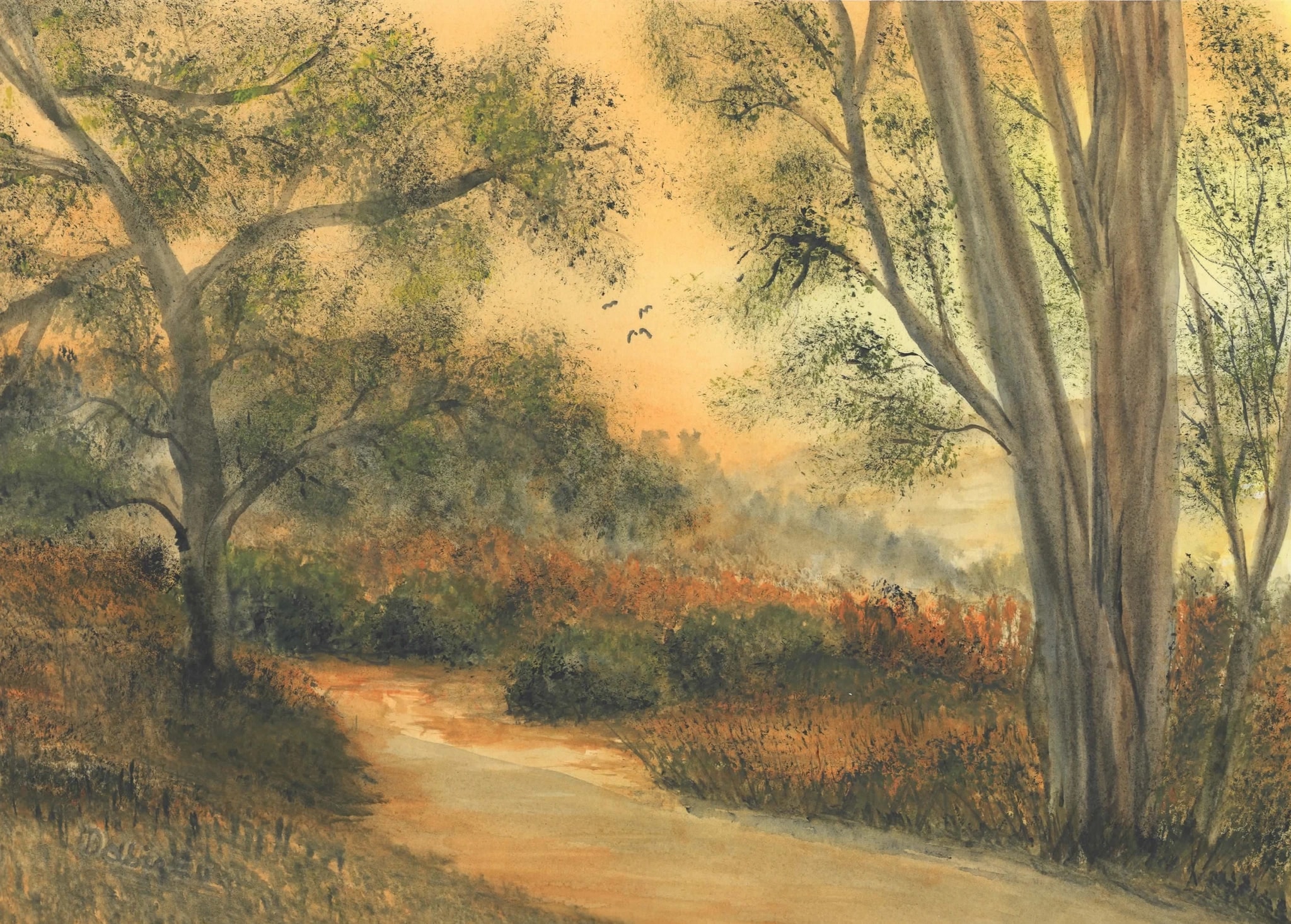 Misty and Mellow