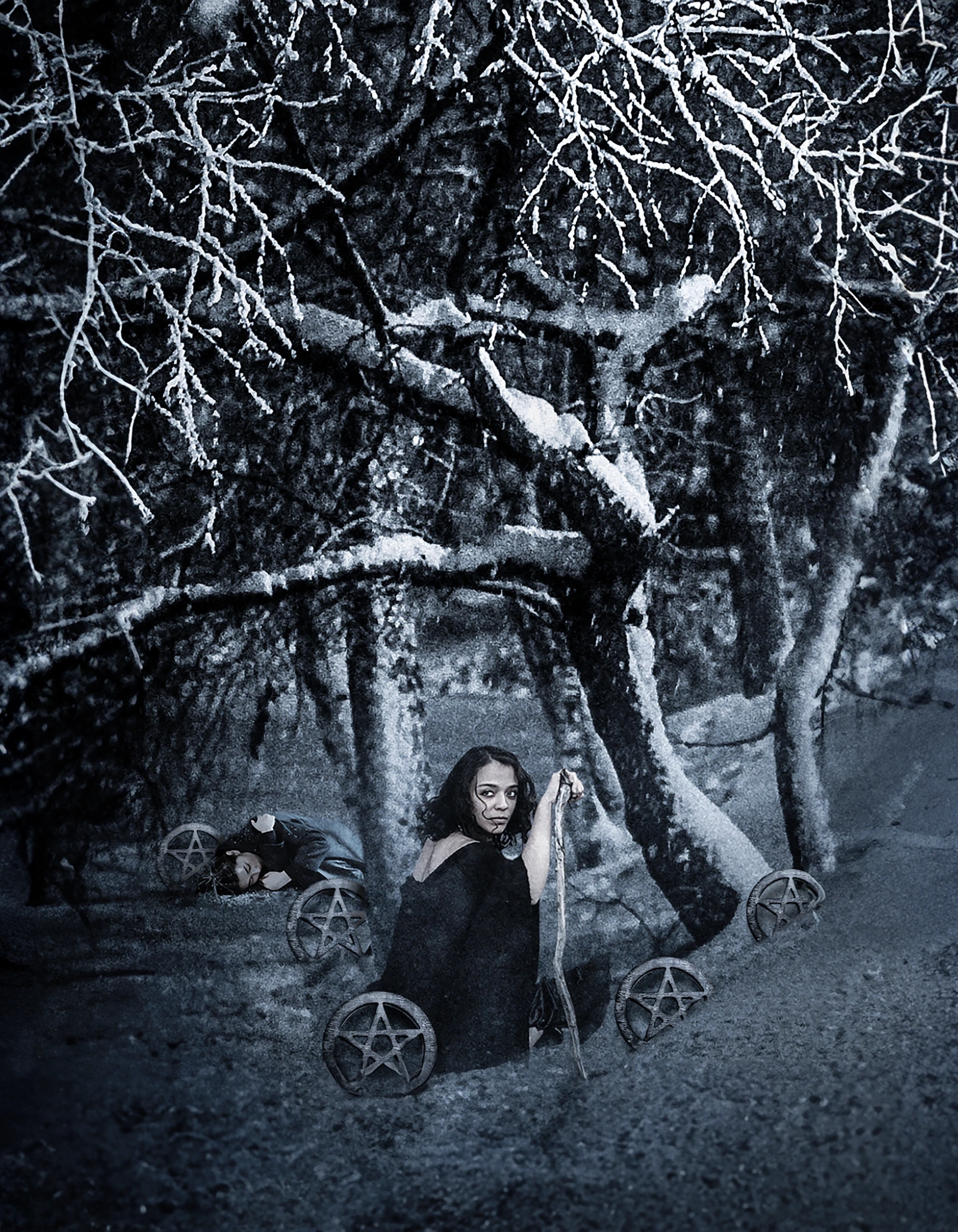 Winter Witch’s Grove