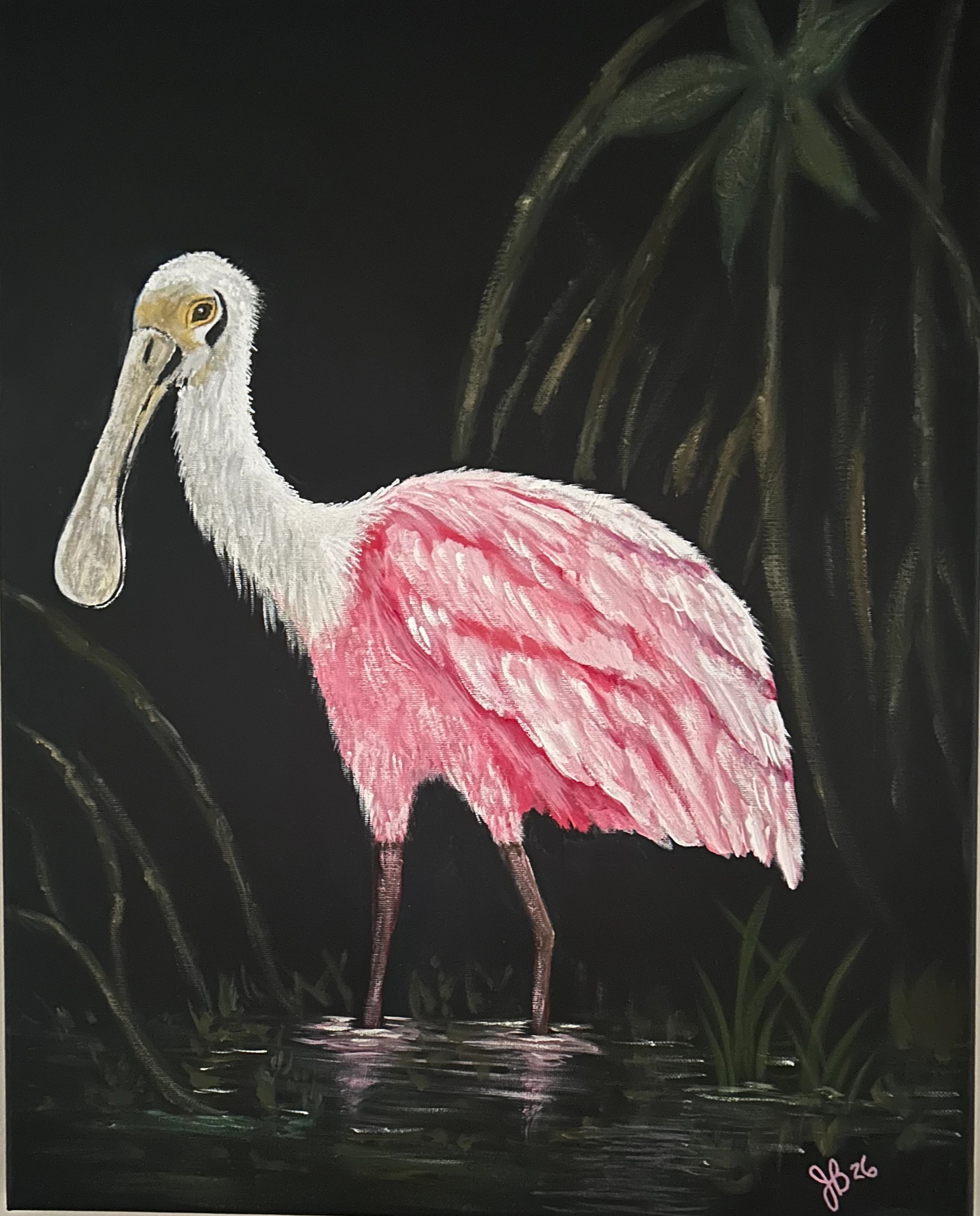 Roseate Spoonbill