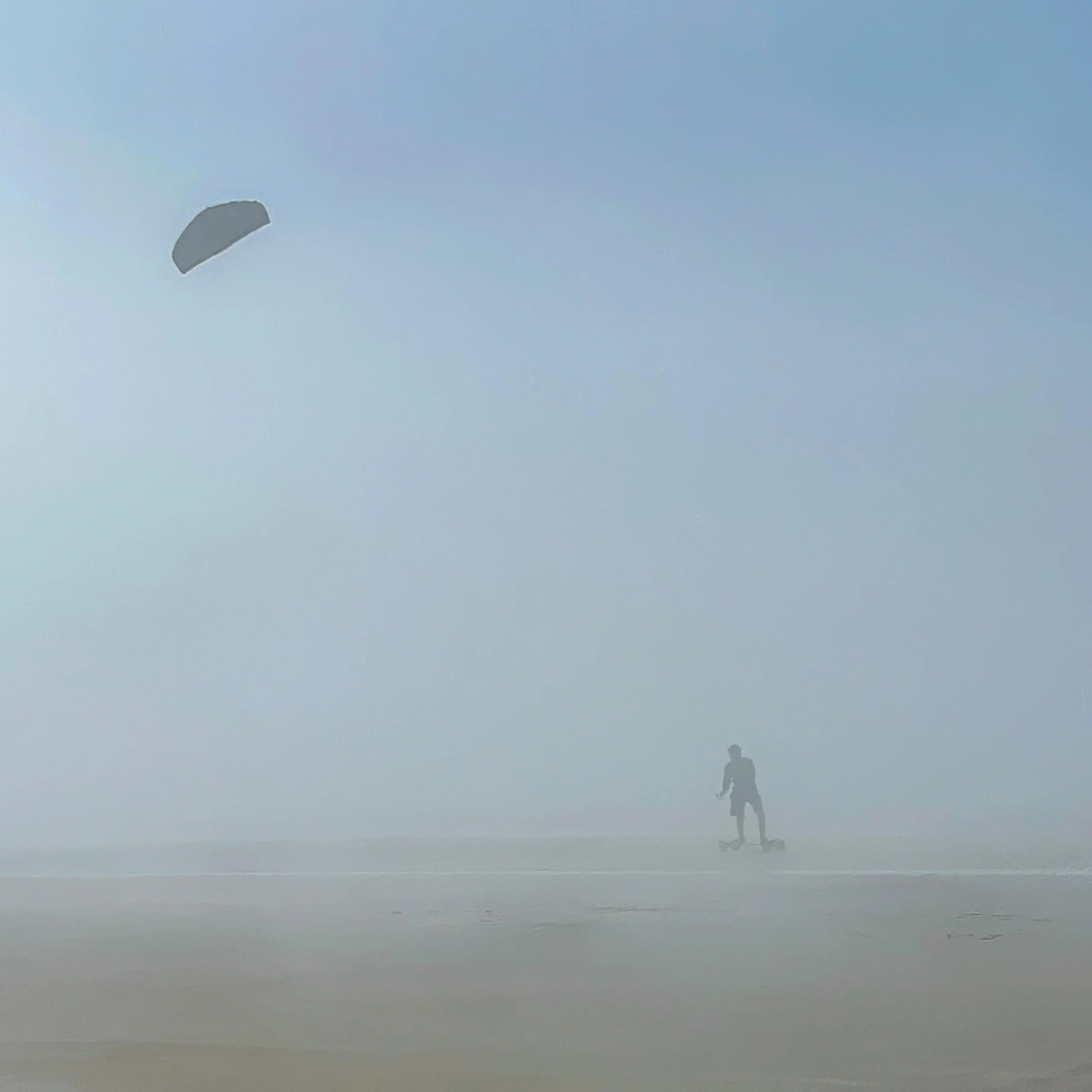 Kite in the Mist