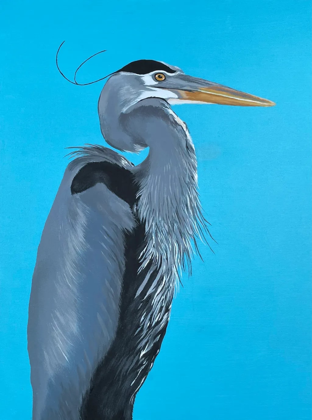 Majestic Blue Heron