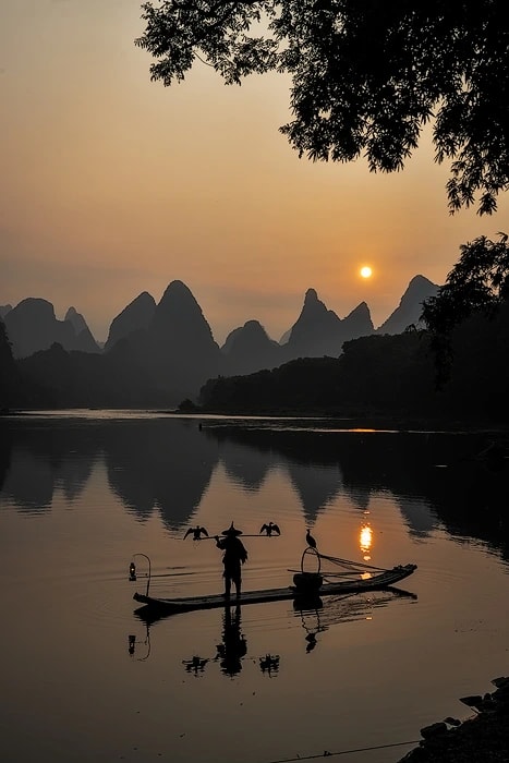 Cormorant Fishing at Sunset