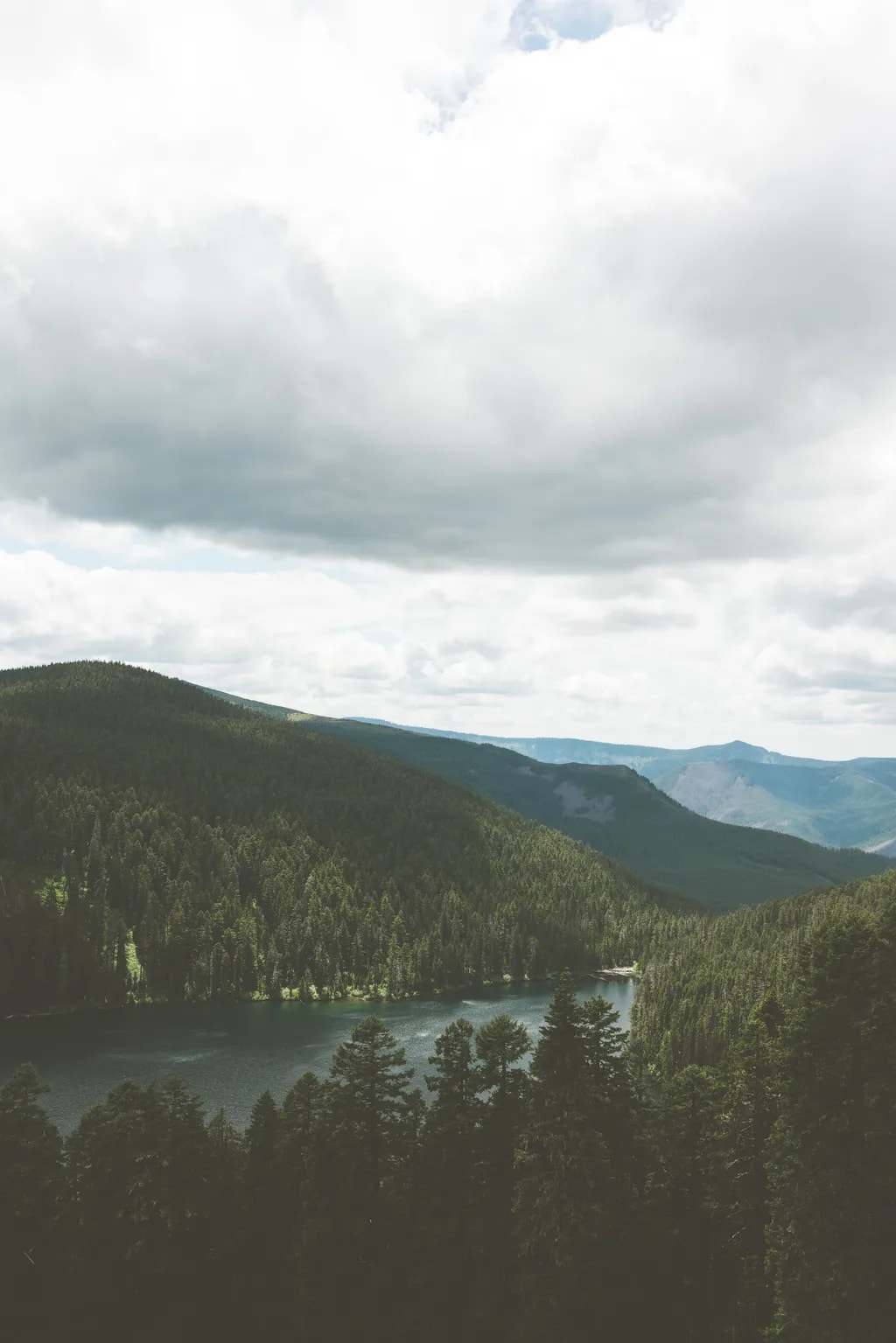 Whispers of Nature: A Serene Lake Embraced by Majestic Pines and Rolling Hills