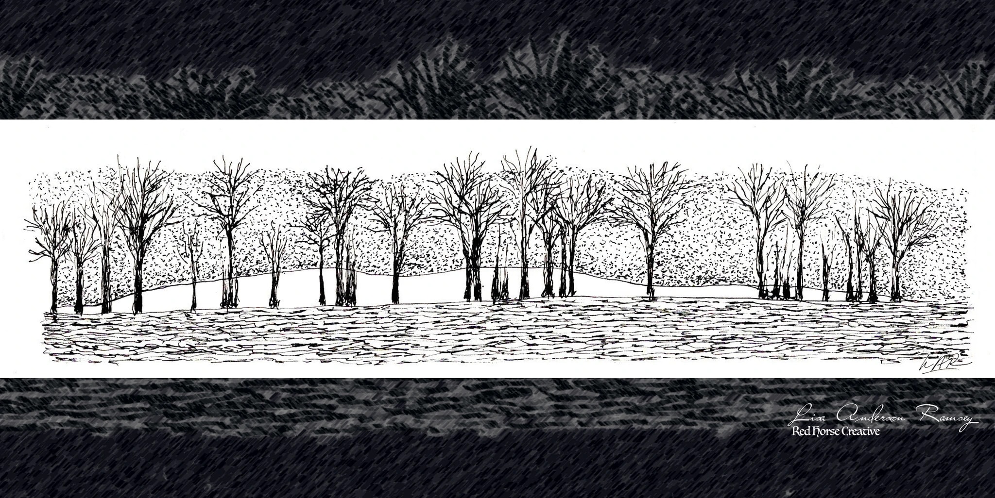 Whispers of Winter: A Serene Landscape of Bare Trees and Tranquil Waters