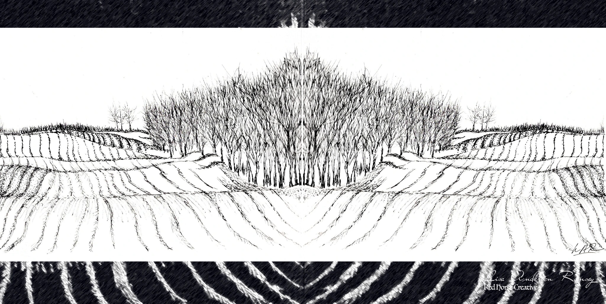 Whispers of the Vineyard: A Serene Landscape in Ink and Shadows