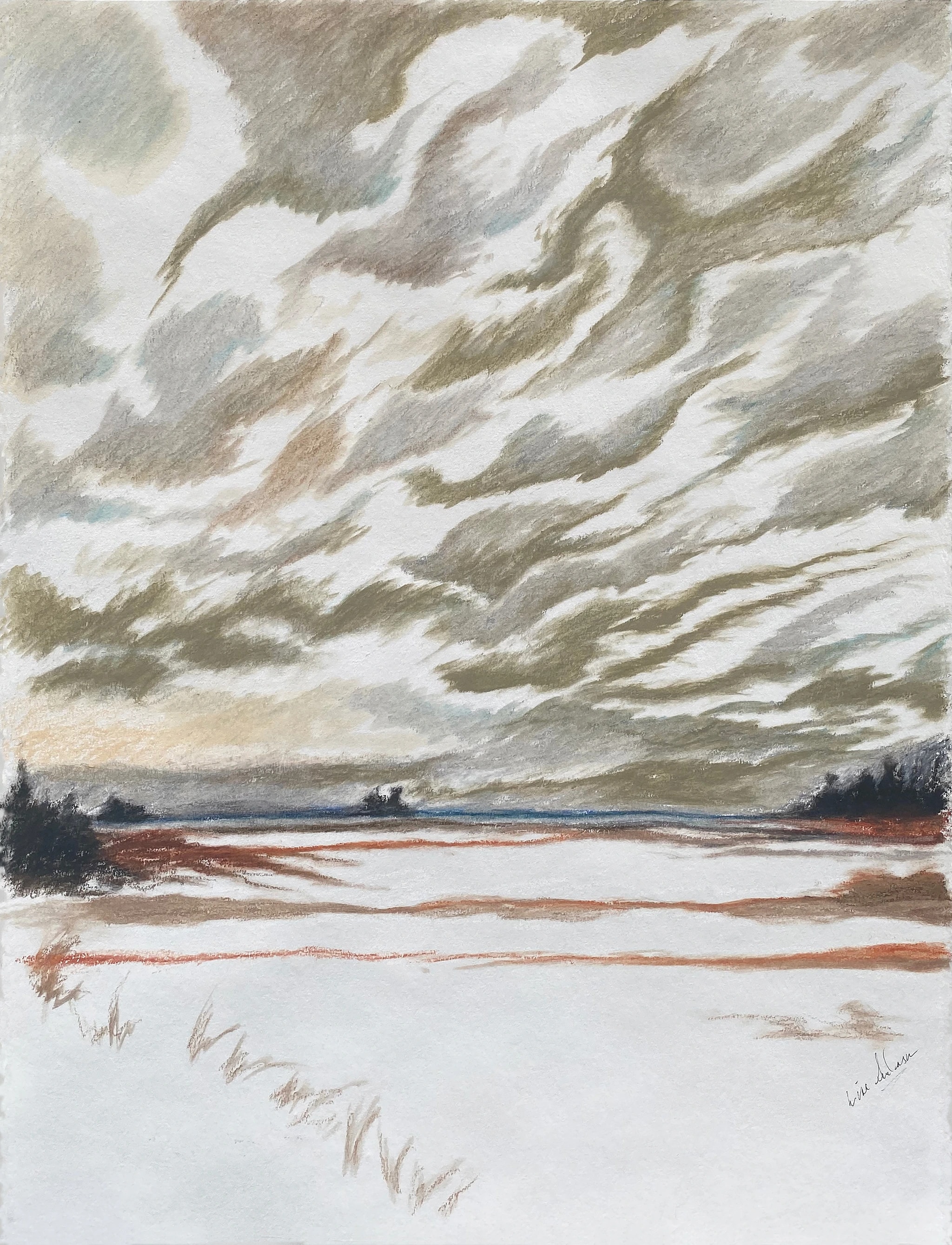 Whispers of Winter: A Serene Landscape Under Cloudy Skies