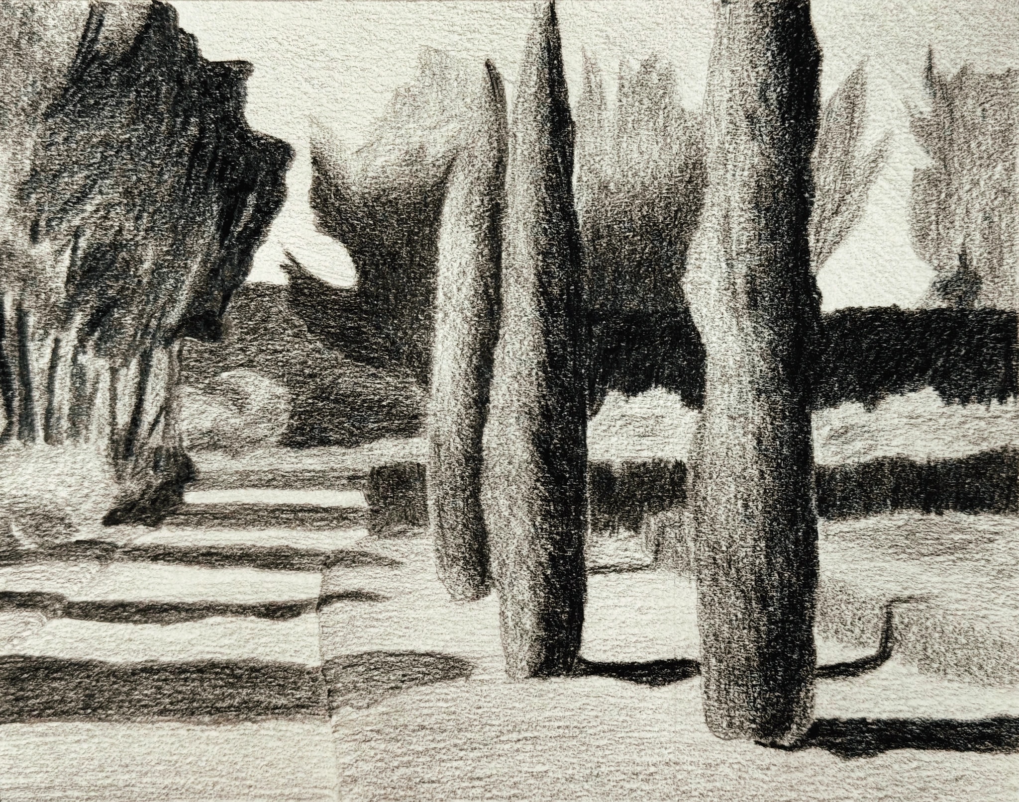 Cypress Shadows