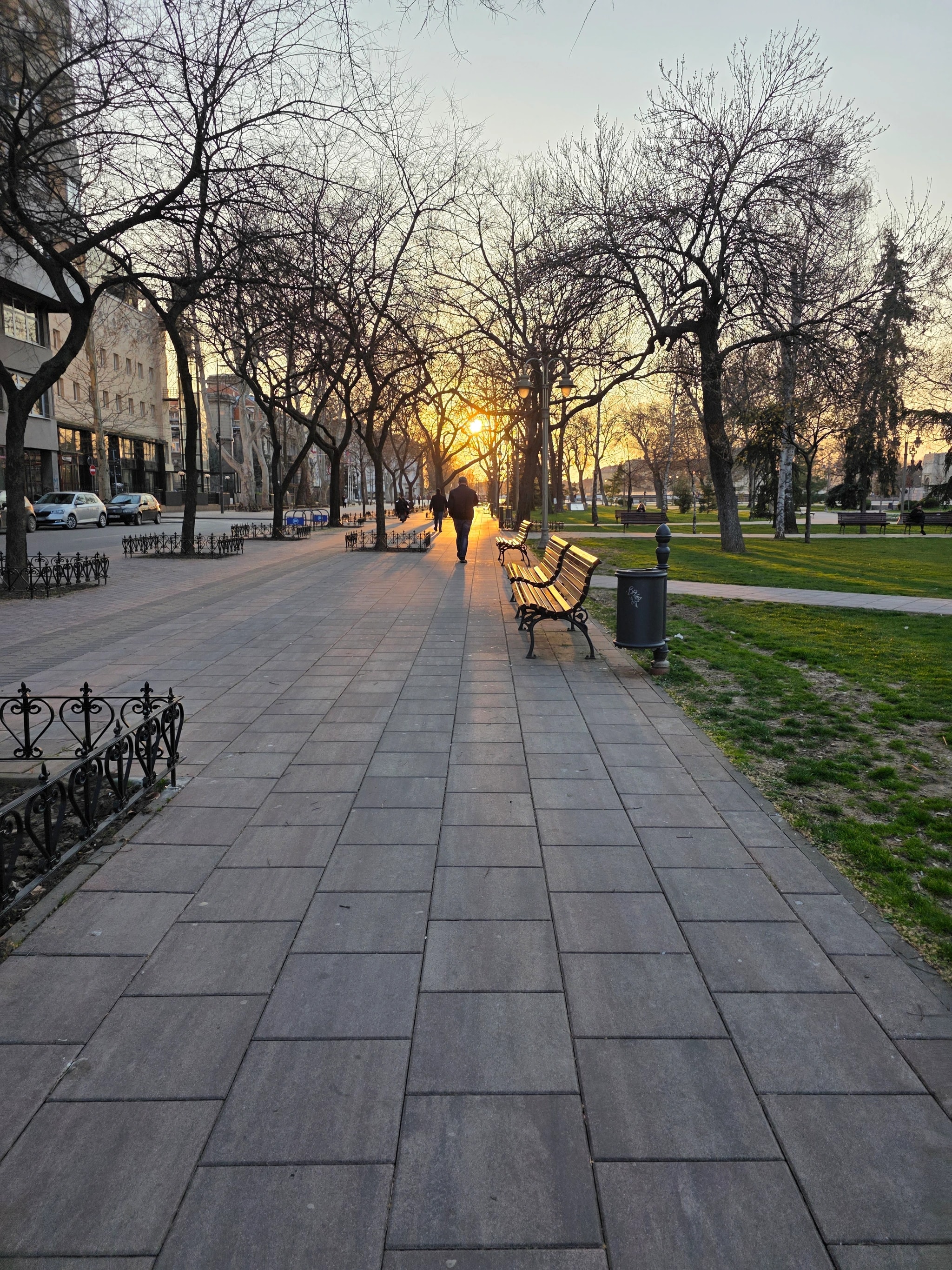 Golden Hour Stroll