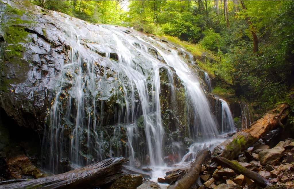 Whispers of Serenity: A Tranquil Waterfall in the Heart of the Forest
