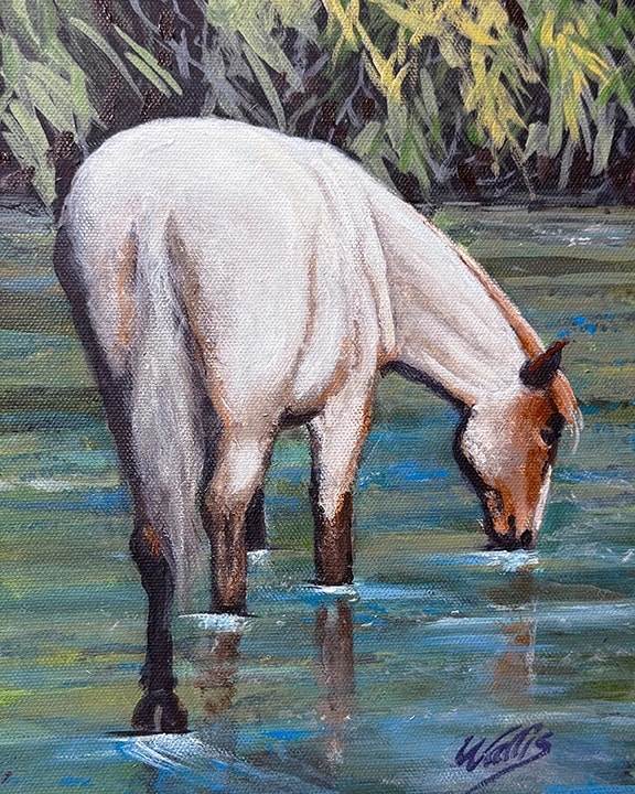 Salt River Wild Mare, Tonto National Forest