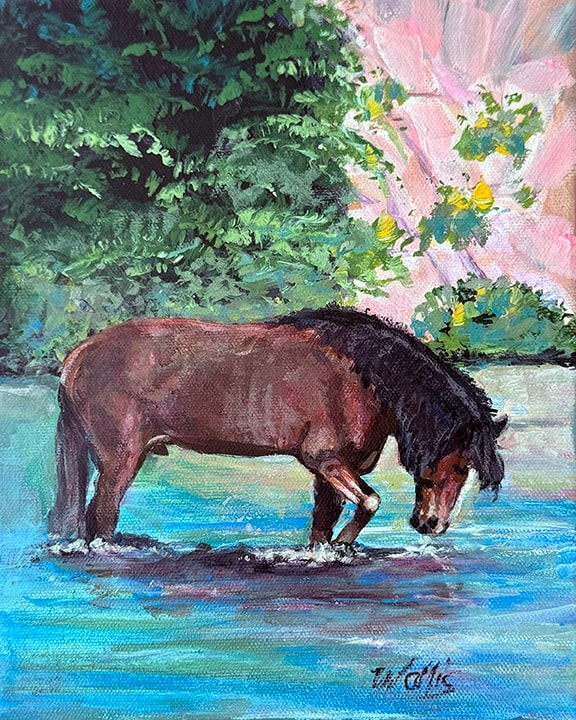 Wild Mustang Stallion, Tonto National Forest, Salt River
