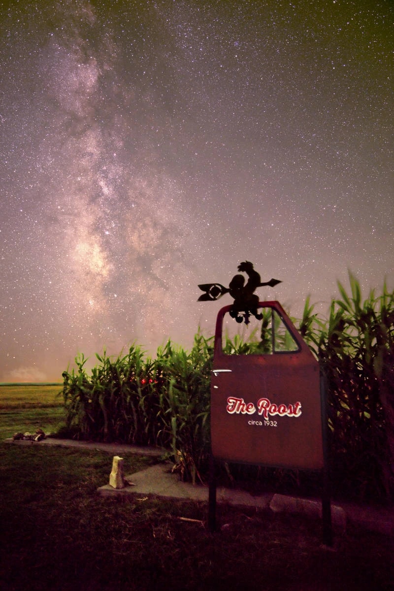 The Roost