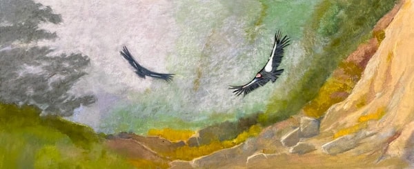 Valley Flight