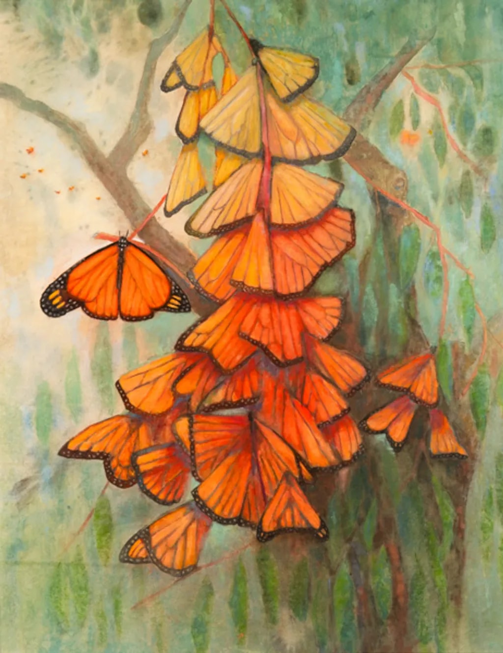 Monarch Gathering