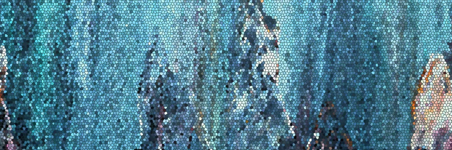 Profile banner