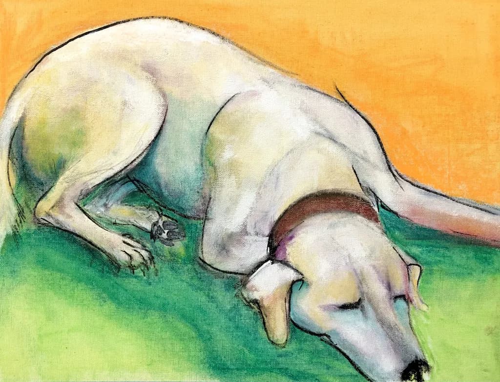 Serene Slumber: A Dreamy Portrait of a Resting Dog