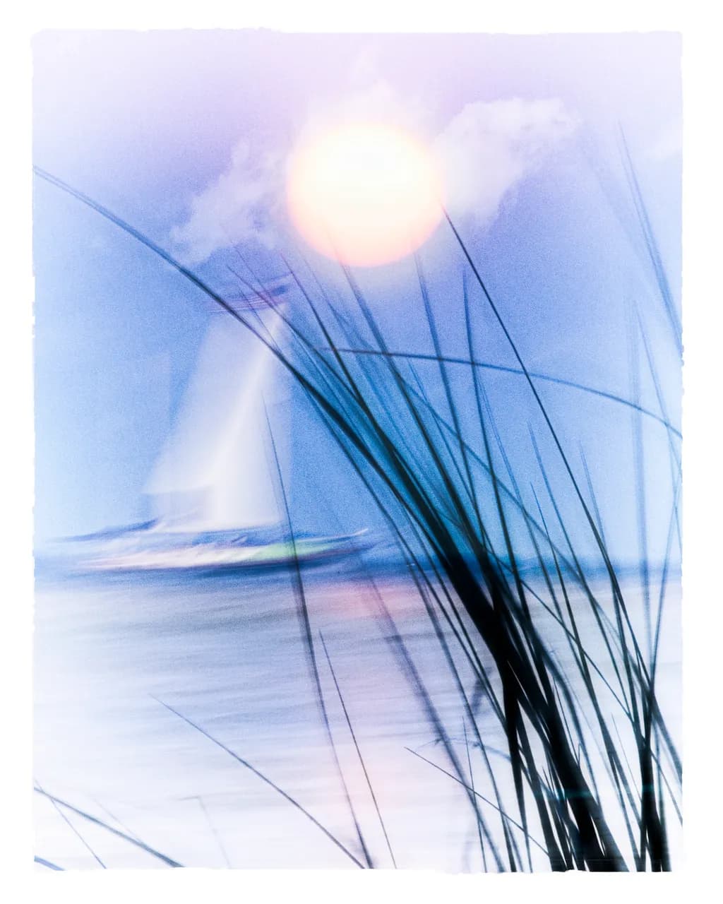 Sailing Sunlit Grass
