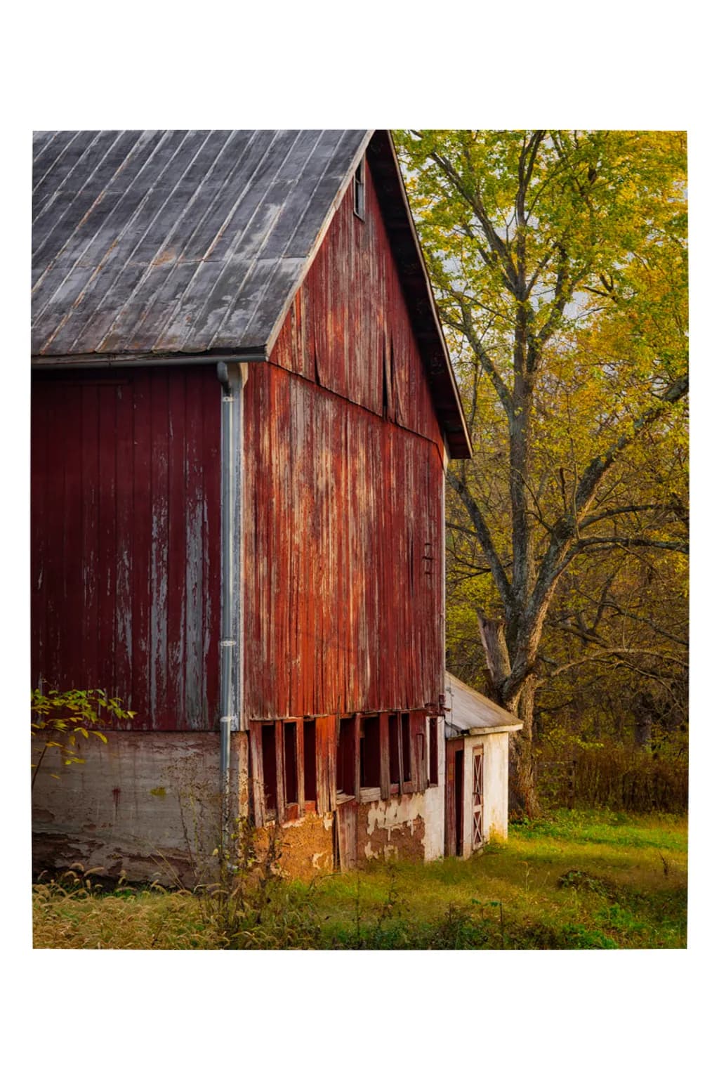 Autumn Barn