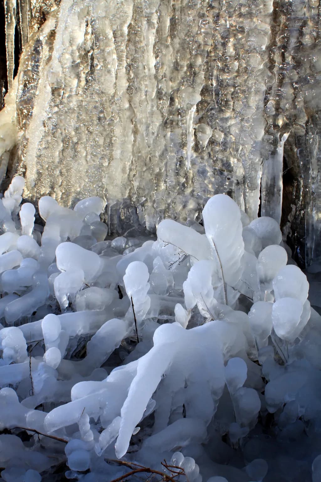 Whispers of Winter: The Enigmatic Dance of Ice and Light