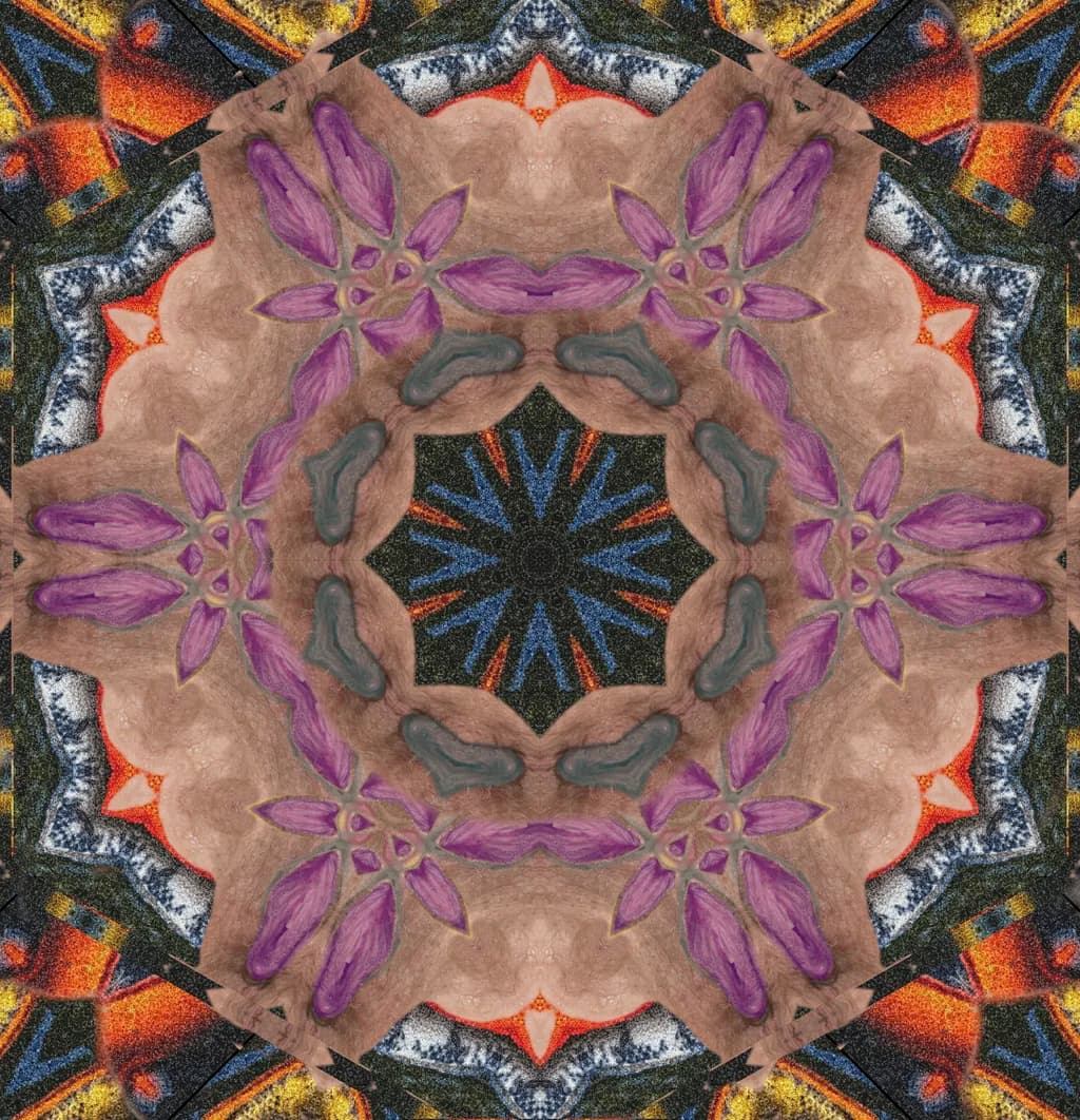 Flower Petals & Fish Fur