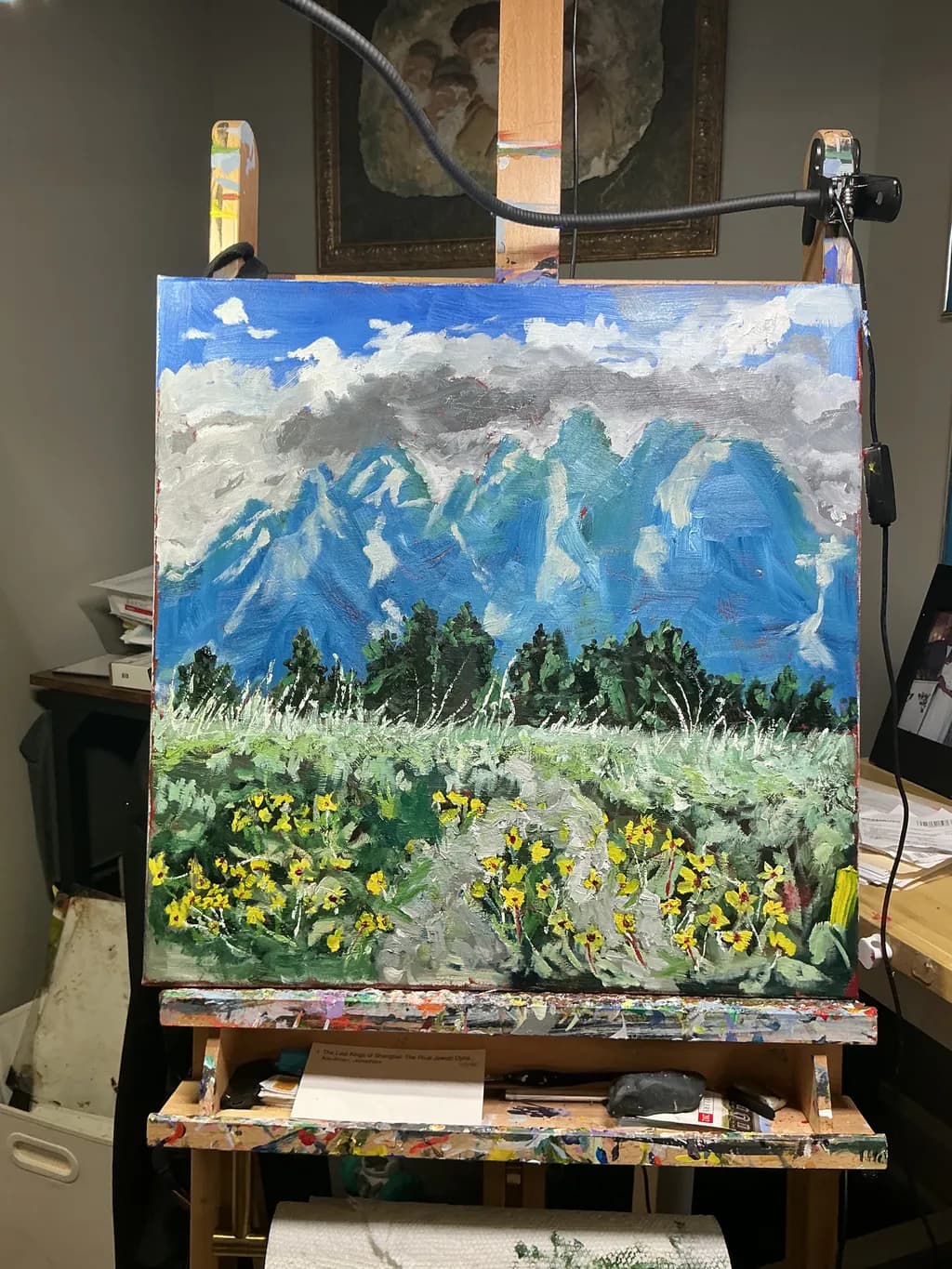 Mountain Wildflowers