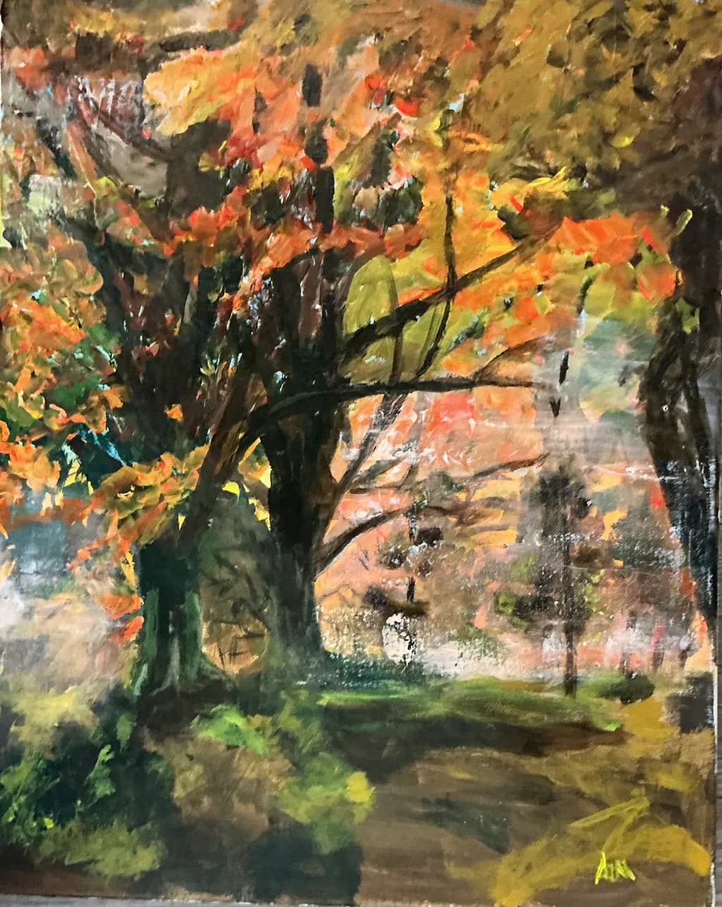 Autumn Canopy