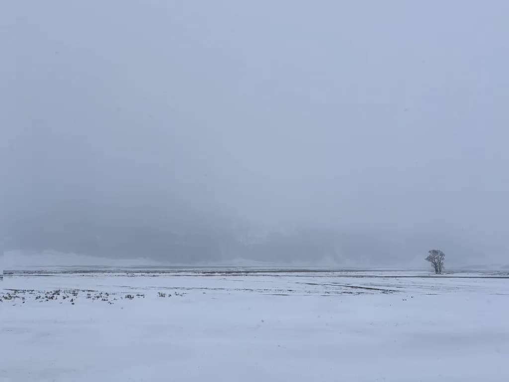 Lamar Winterscape