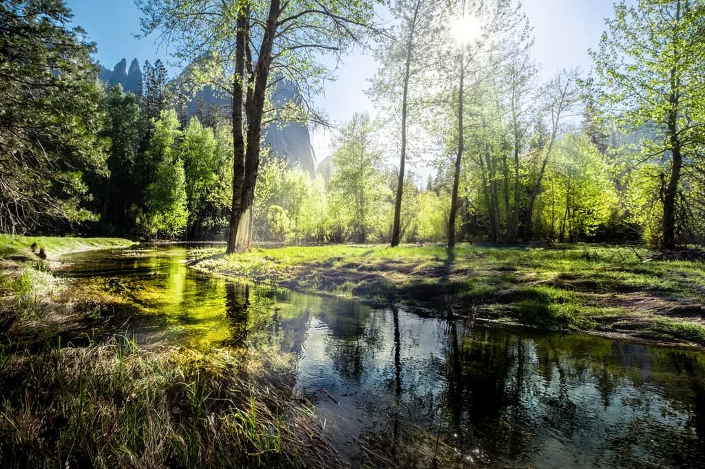 Lazy Afternoon by the Merced River