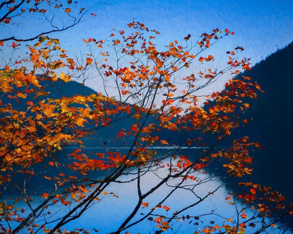 Through the Leaves