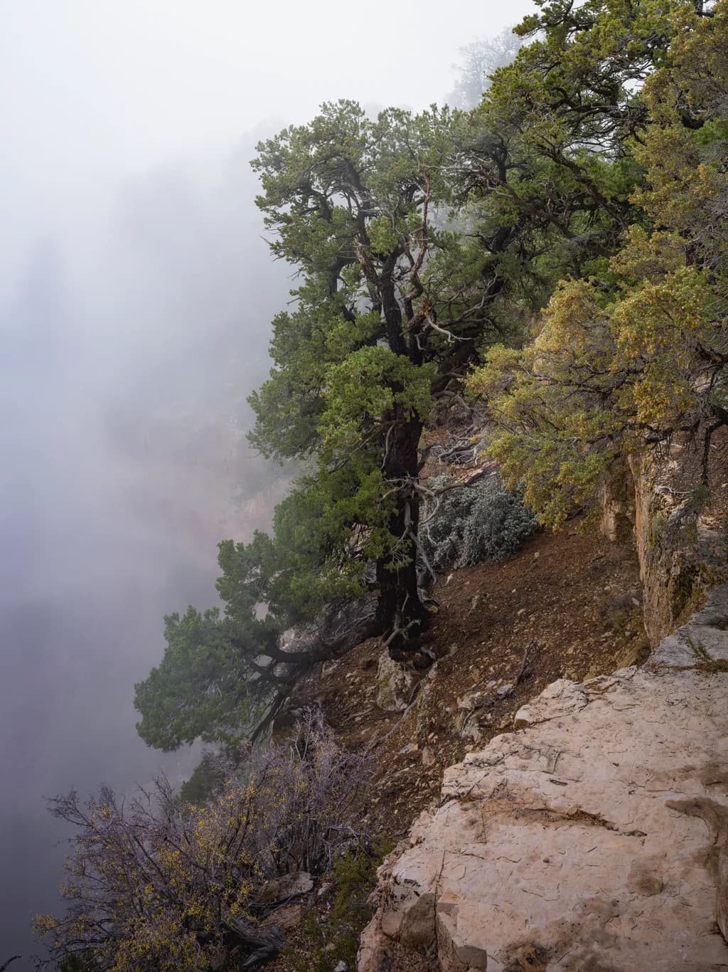 Mystical Edge