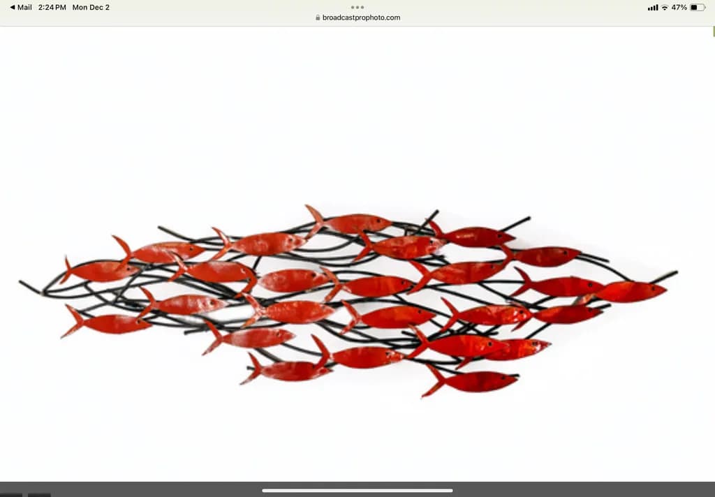 Red Fish Formation
