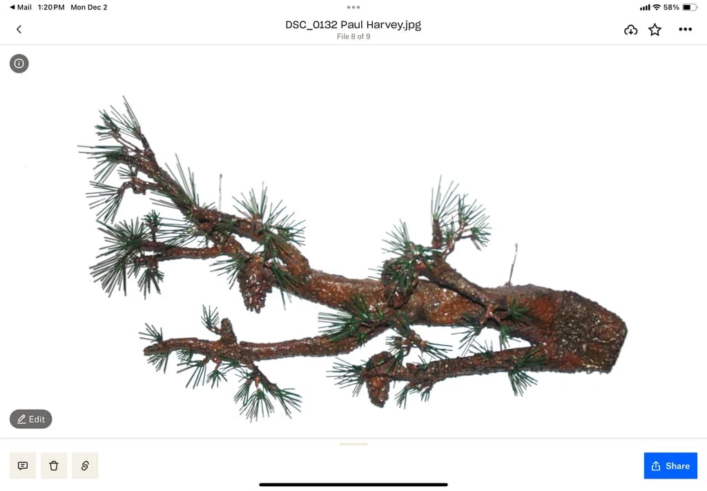 Pine Branch