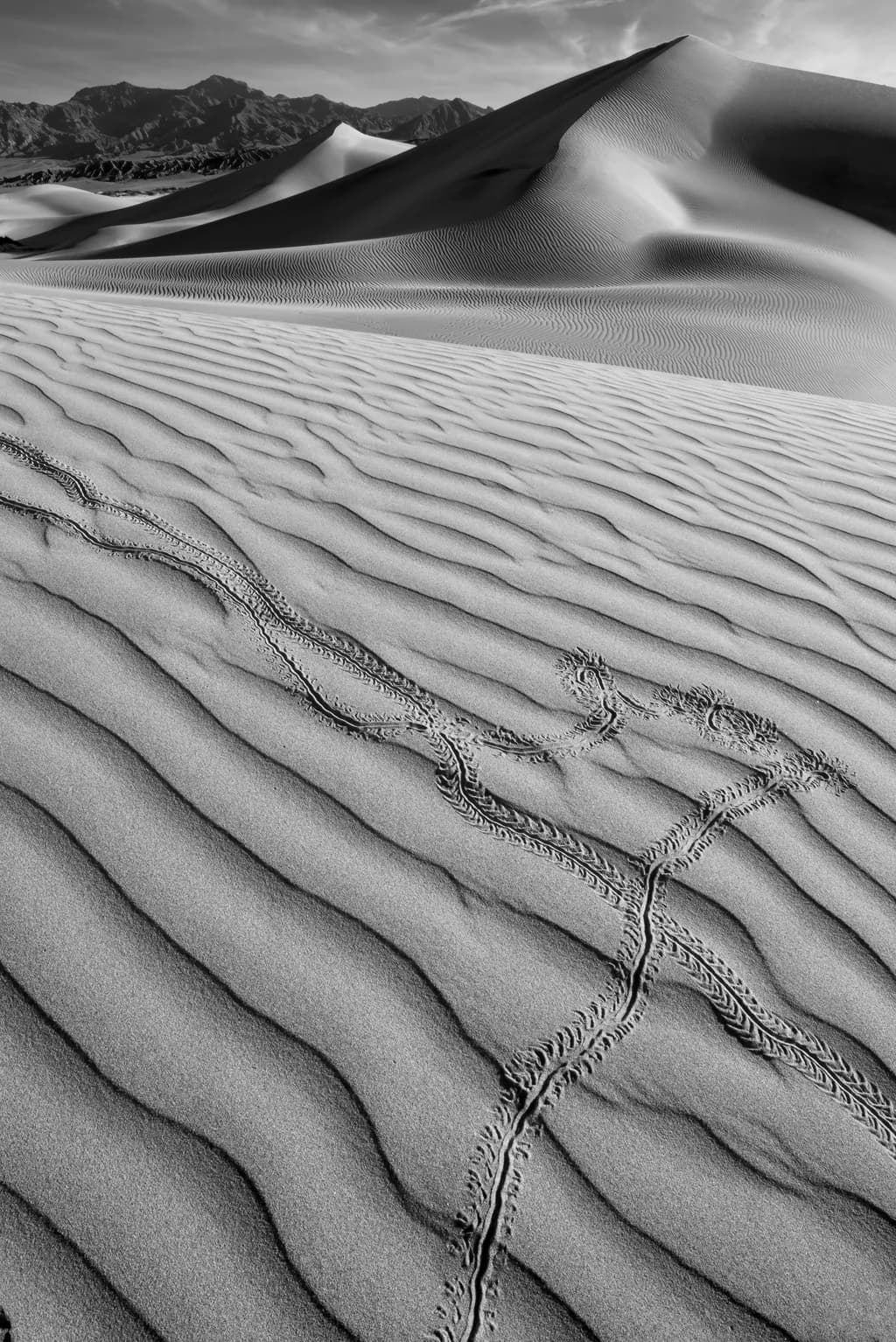 Desert Currents