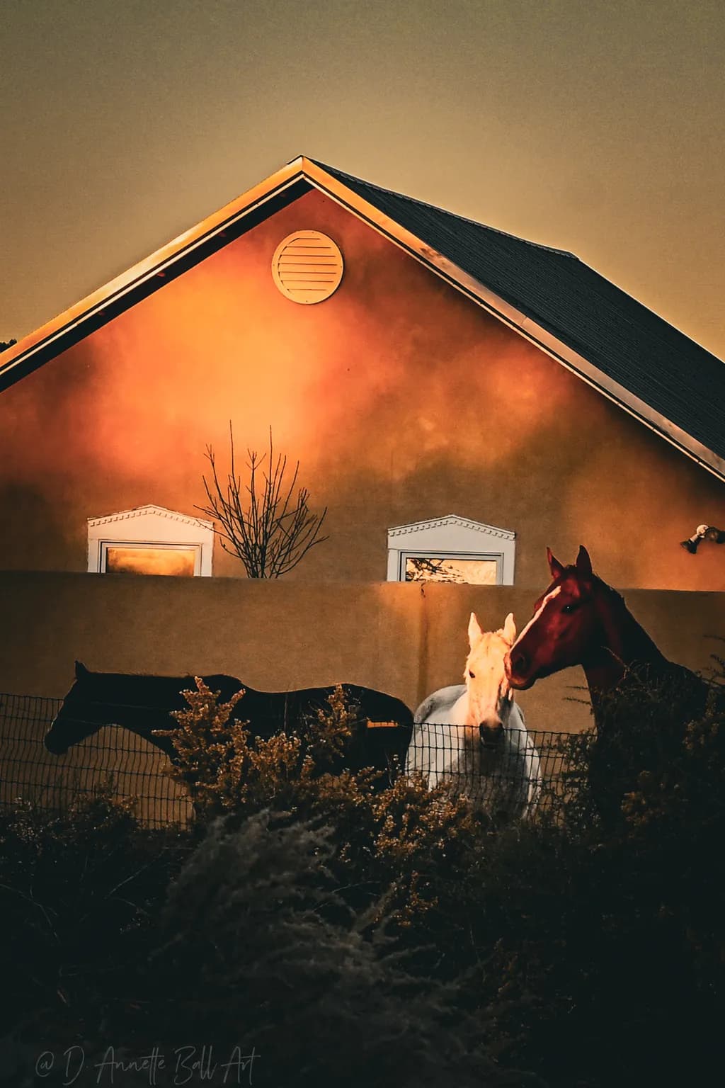 Horses by Sunset House