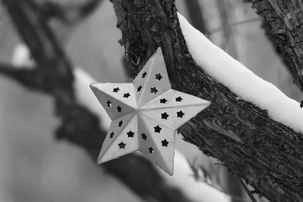 Starry Winter Ornament
