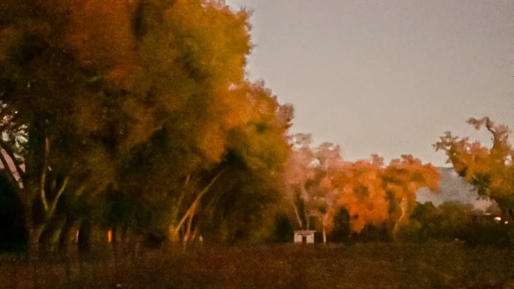 Autumn’s Quiet Shelter