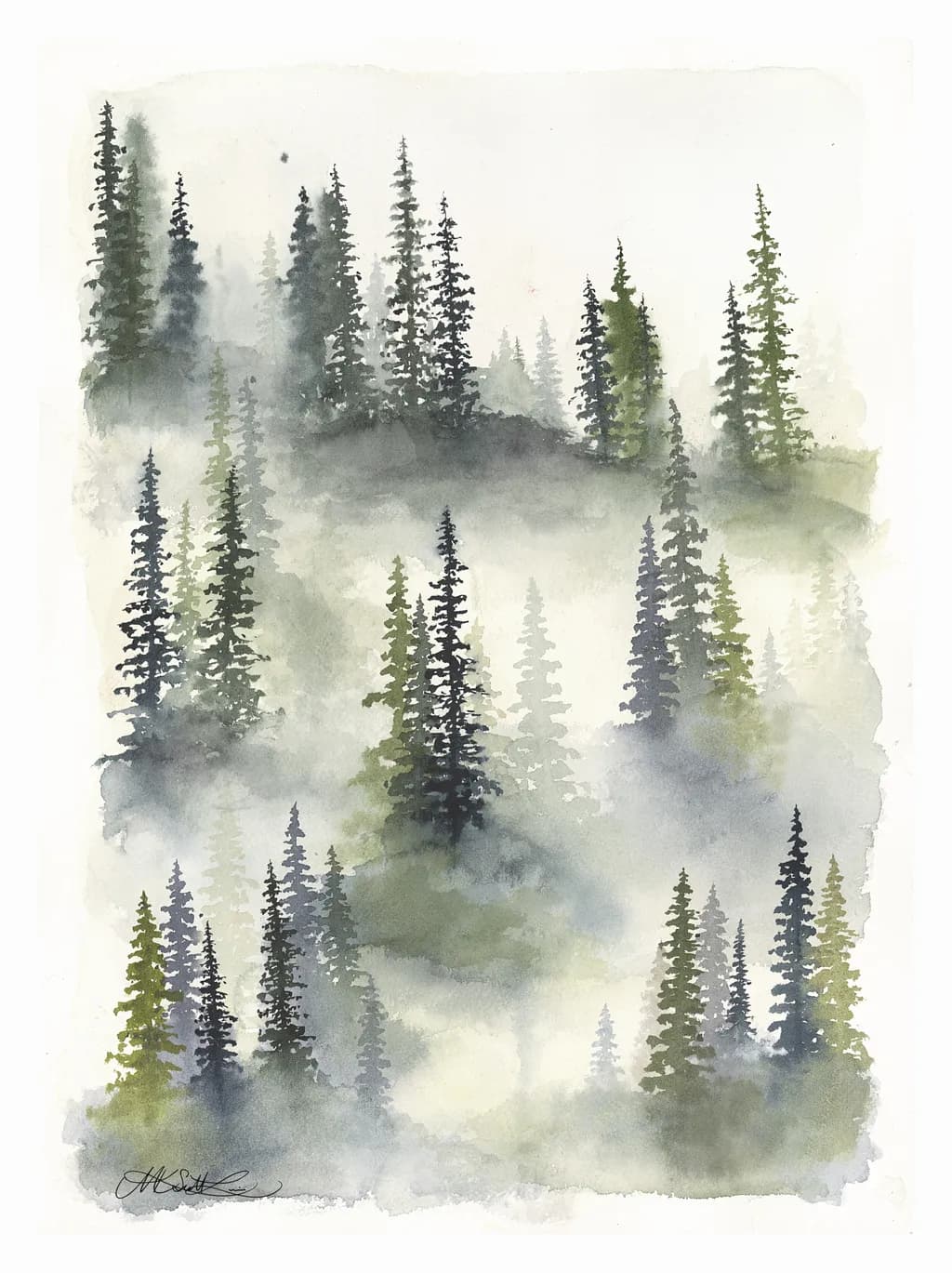 Through the Fog