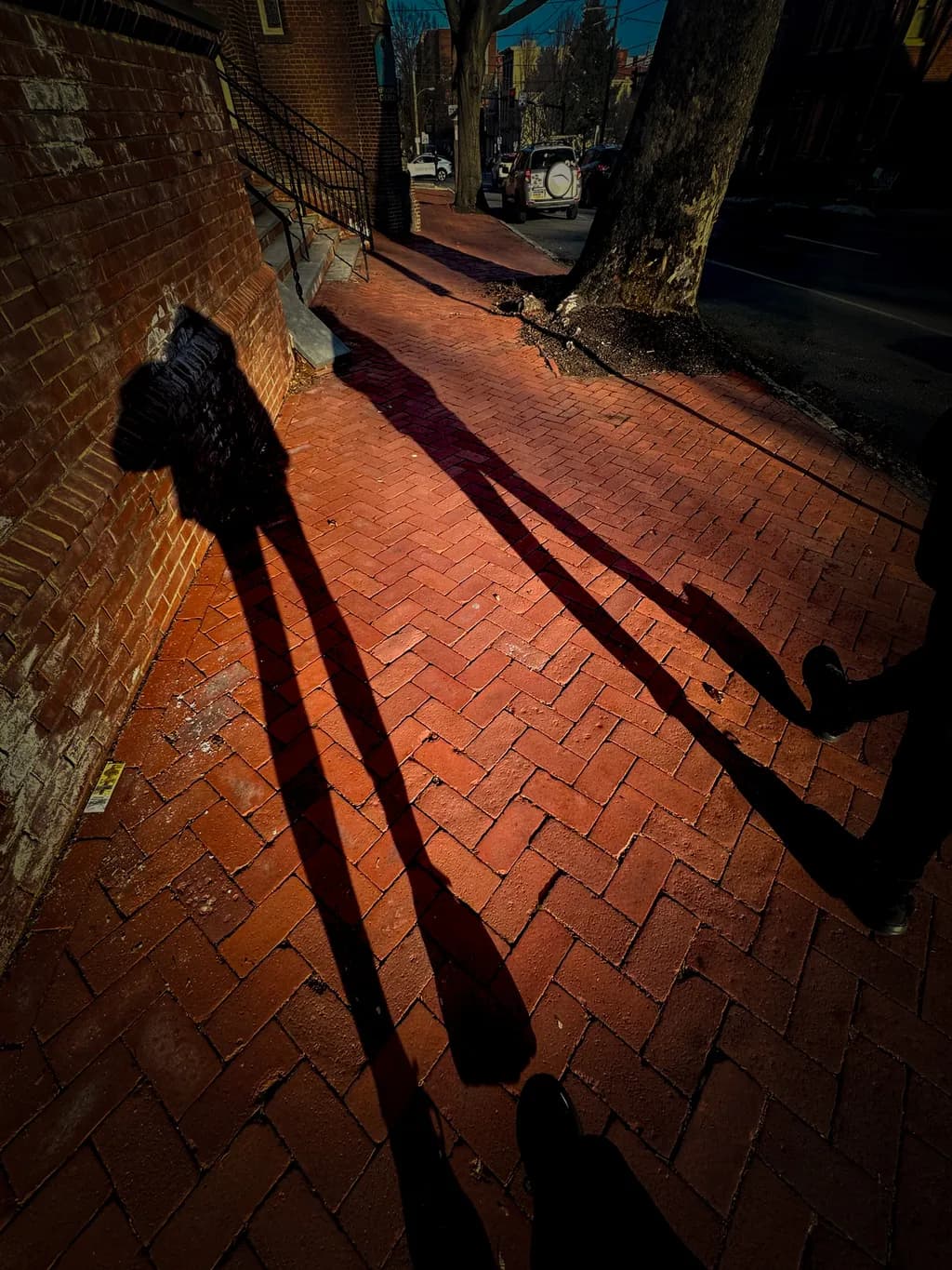 Legs in Shadow