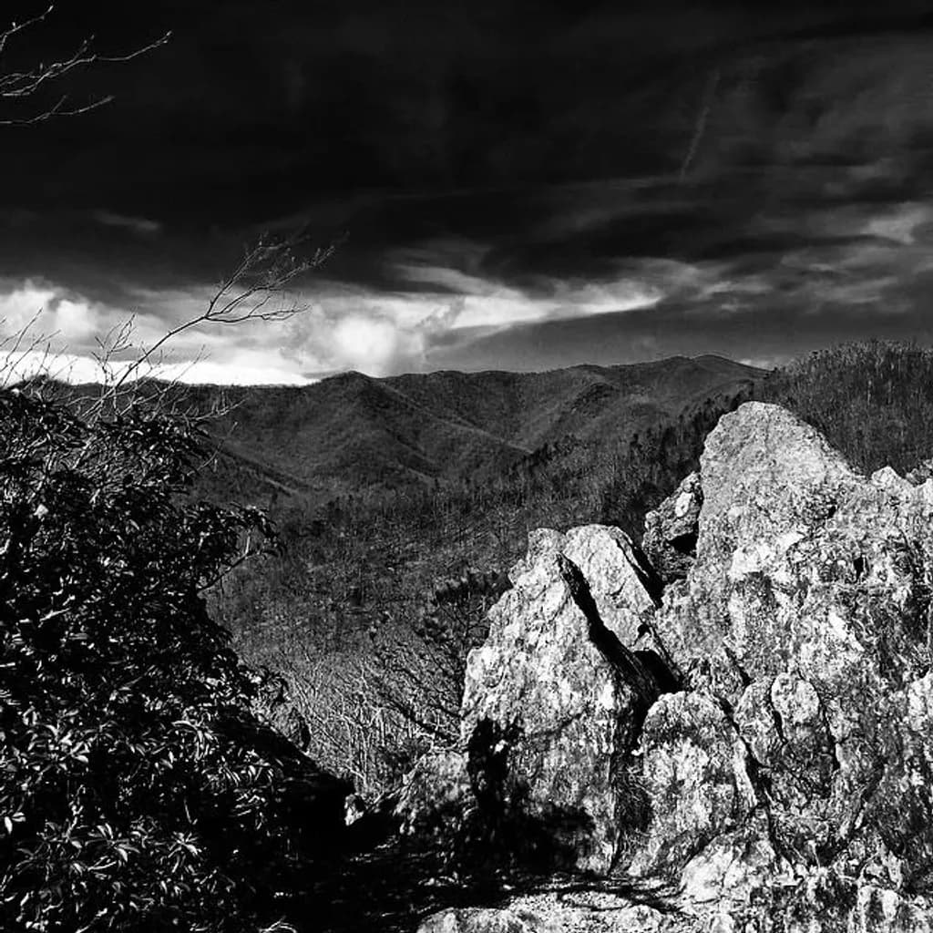 Moody Summit