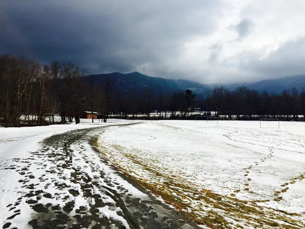 Snowy Pathway