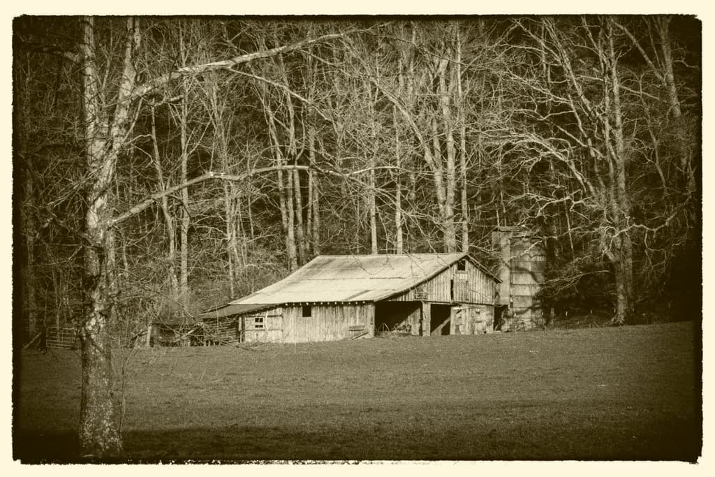 Sepia Barnstead