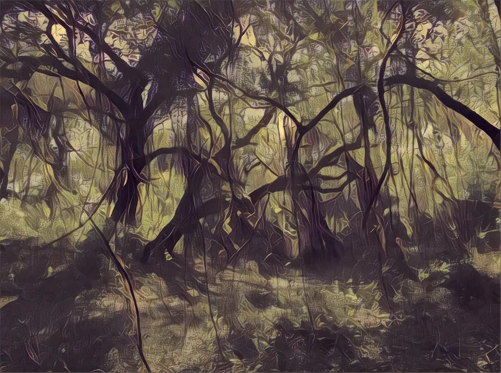 Forest Fantasy