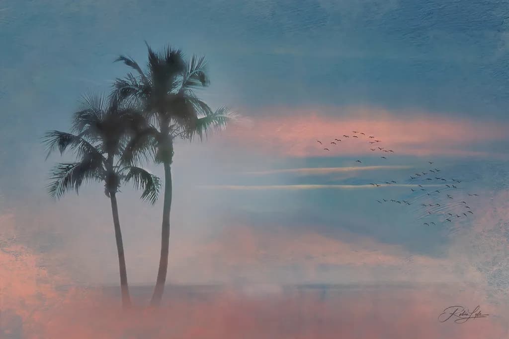 Misty Morning Fog