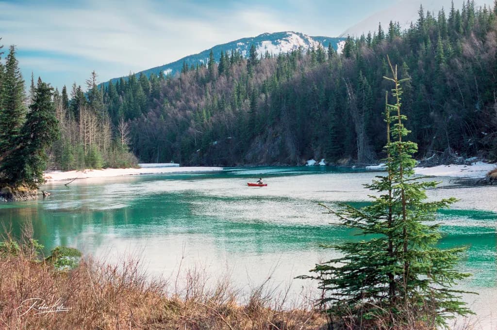 Serenity on the Water: A Tranquil Kayak Journey Through Emerald Waters and Majestic Pines