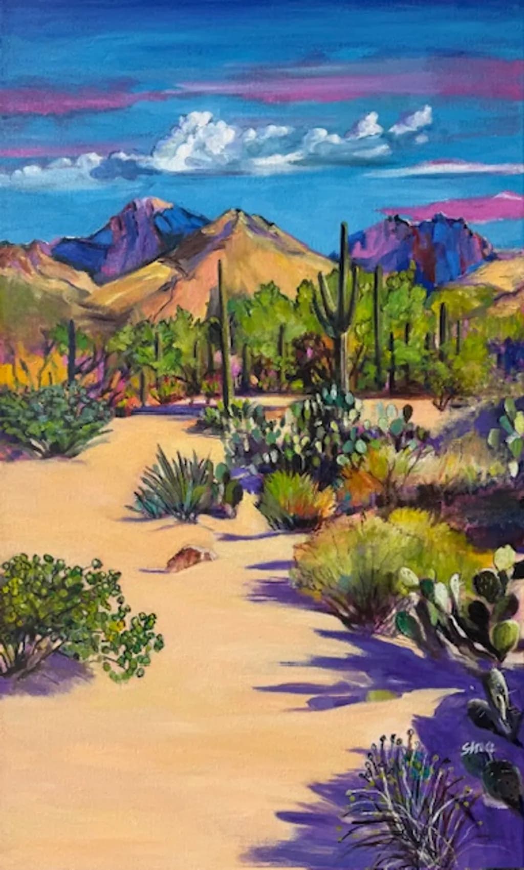 Beautiful Sabino Canyon